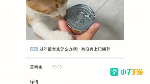 找帮手任务怎么做