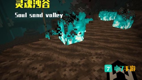 我的世界地狱疣